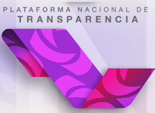 Plataforma Nacionald de Transparencia