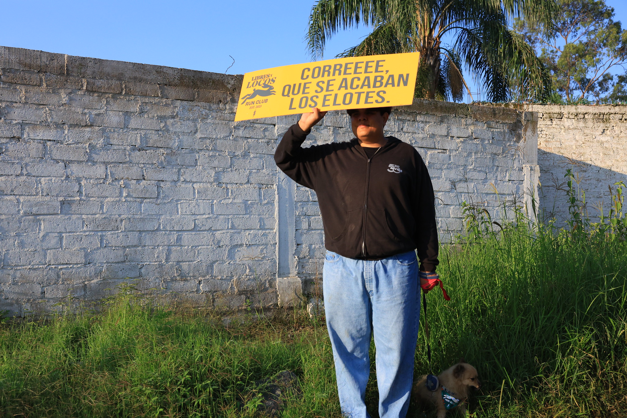 54712294054_ab97471c67_k