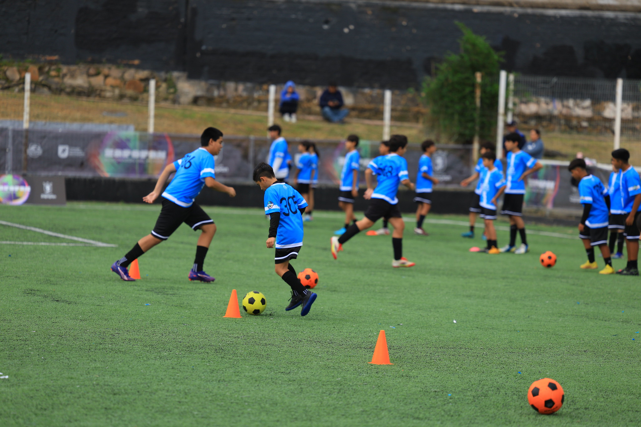 54725053895_29236dc1da_k