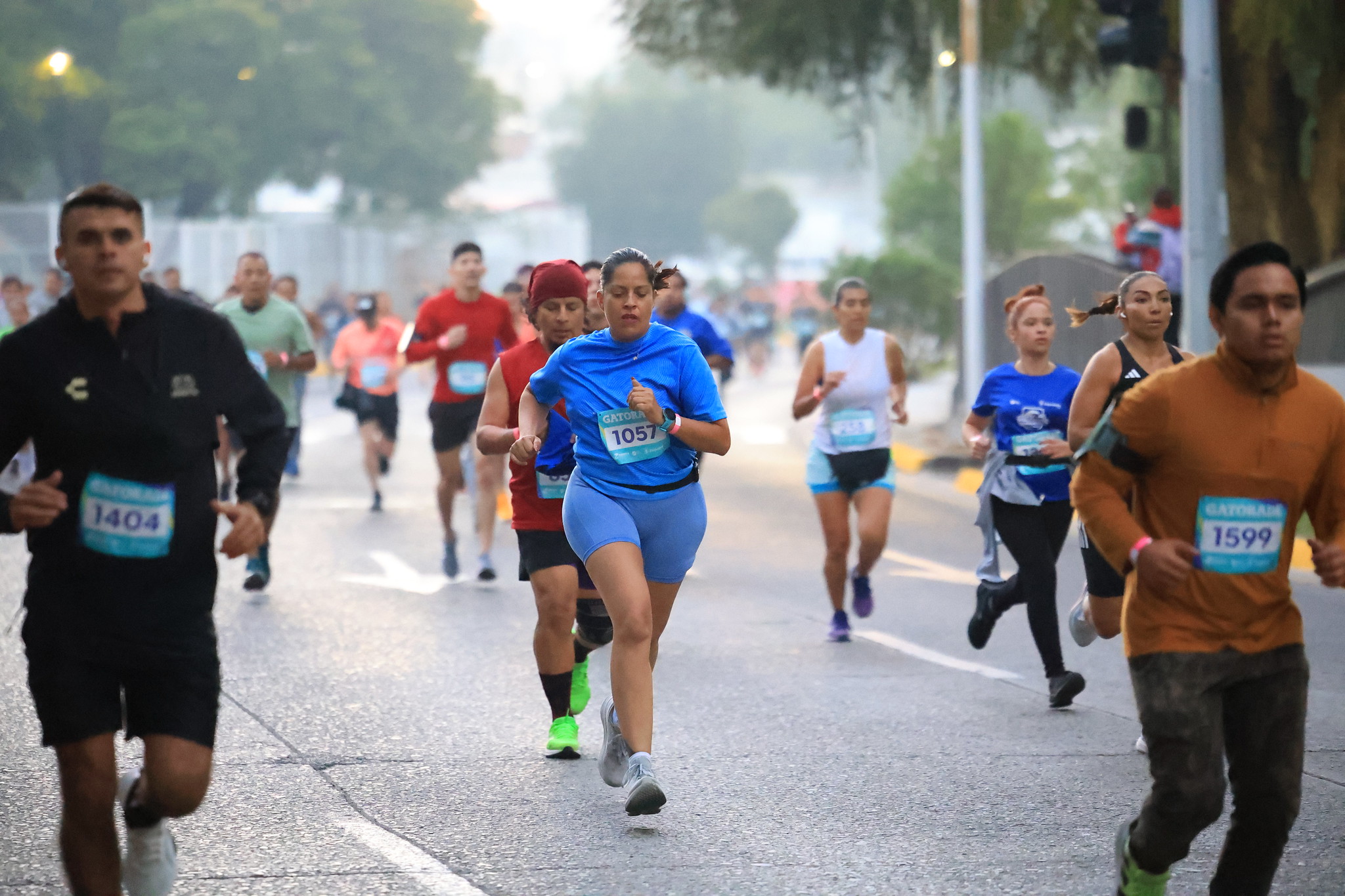 54881202554_81fbff2bc4_k