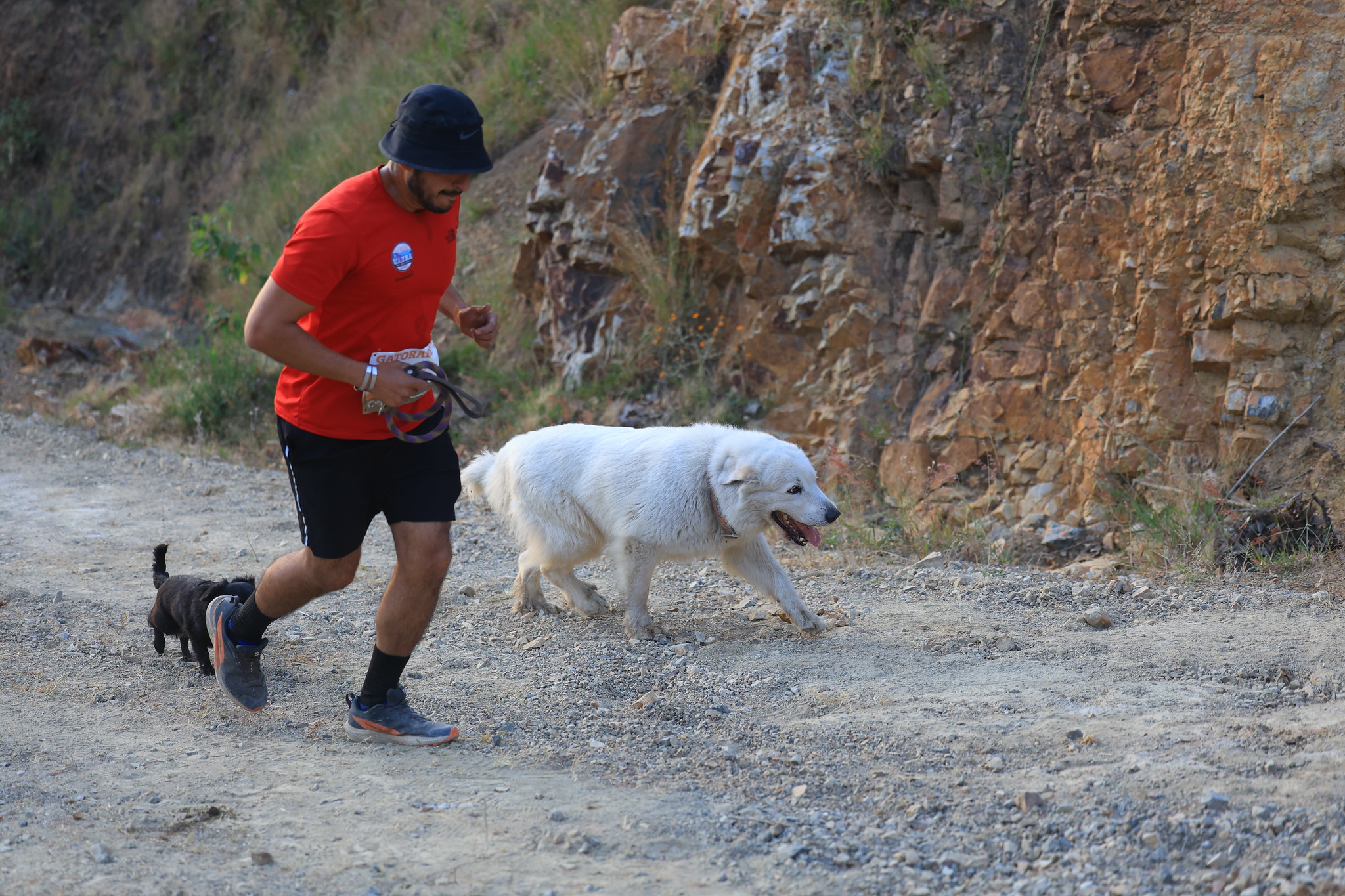 54928333955_122d0774fb_k