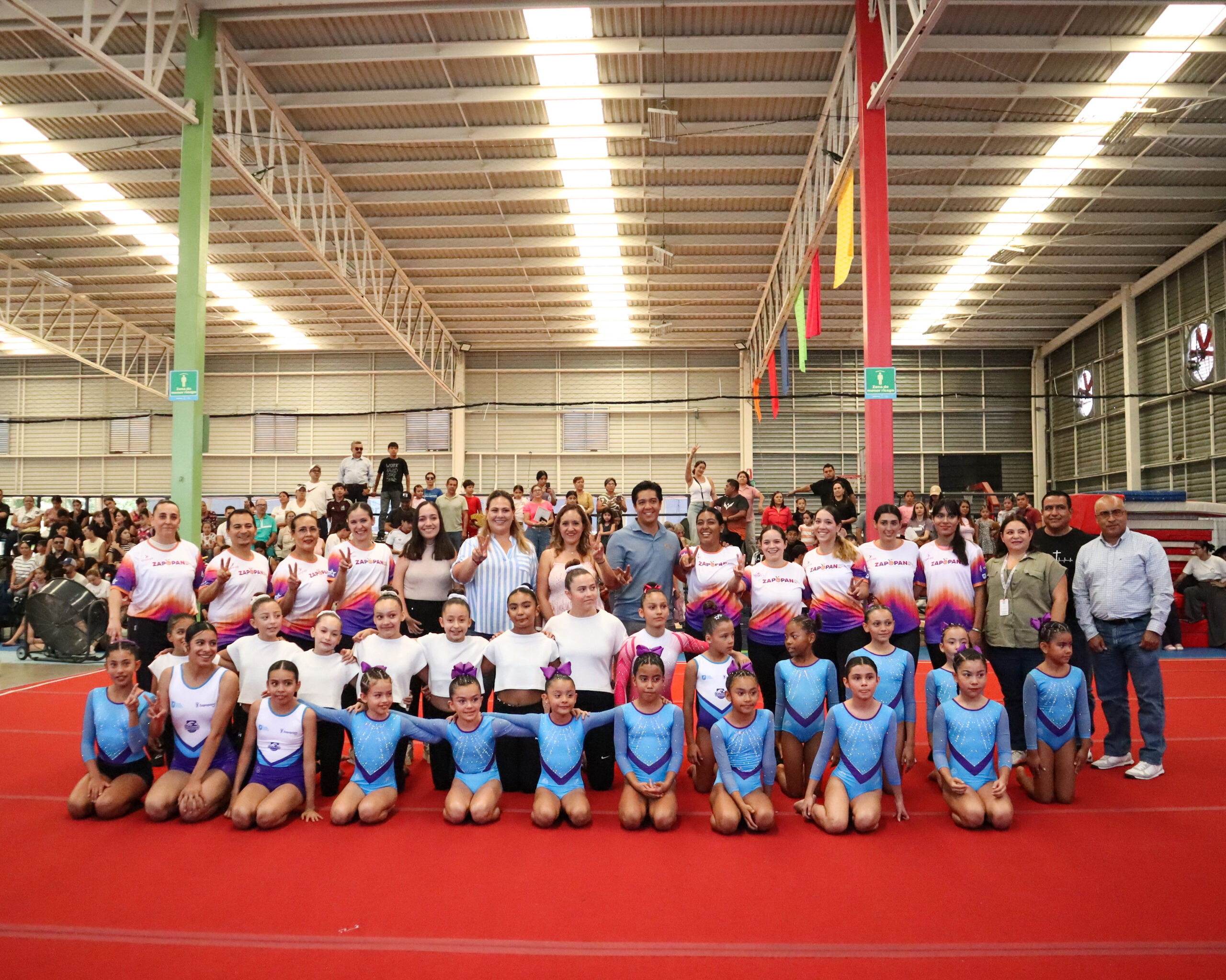Gimnasia artistica (2)