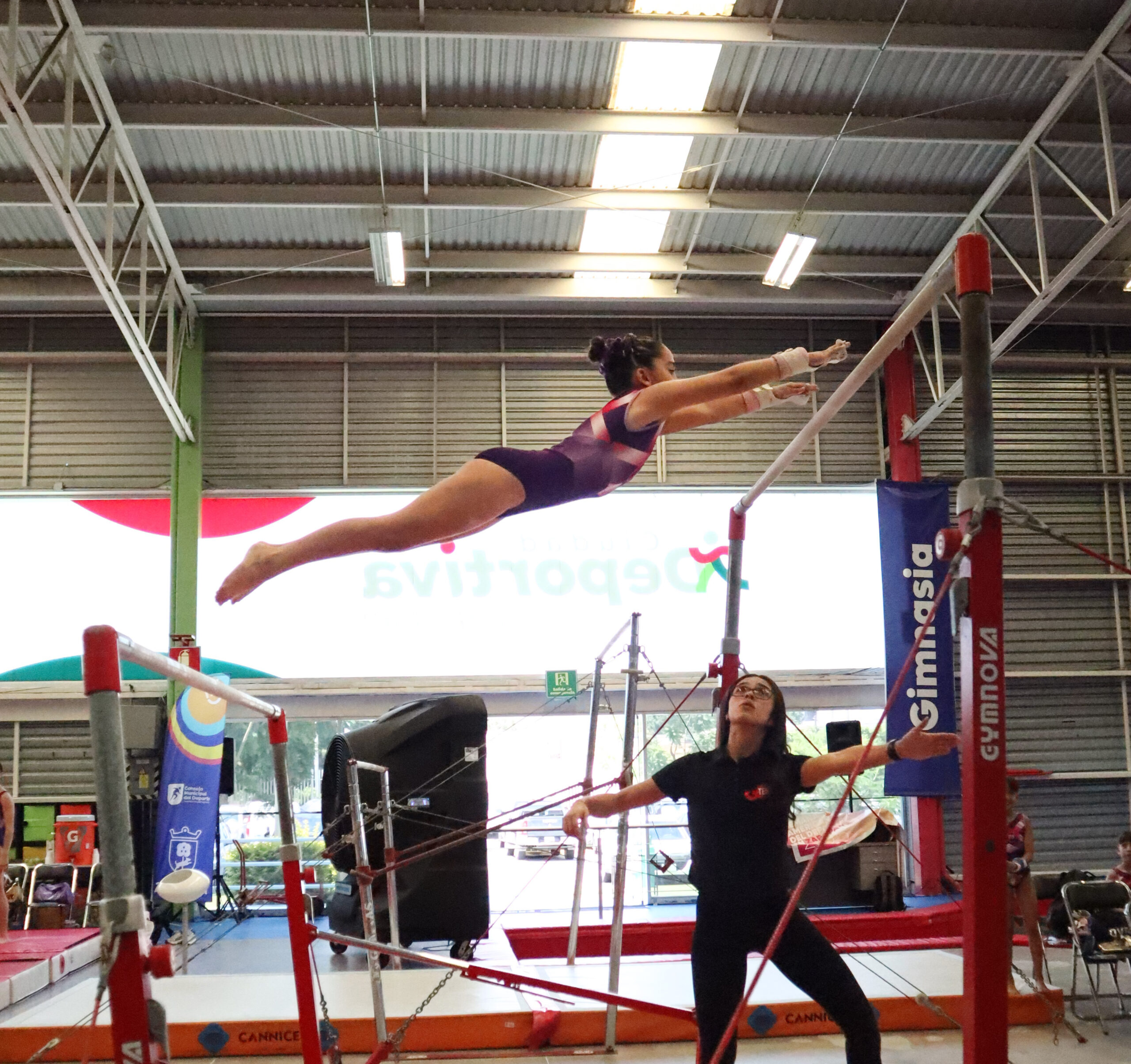 Gimnasia artistica (3)