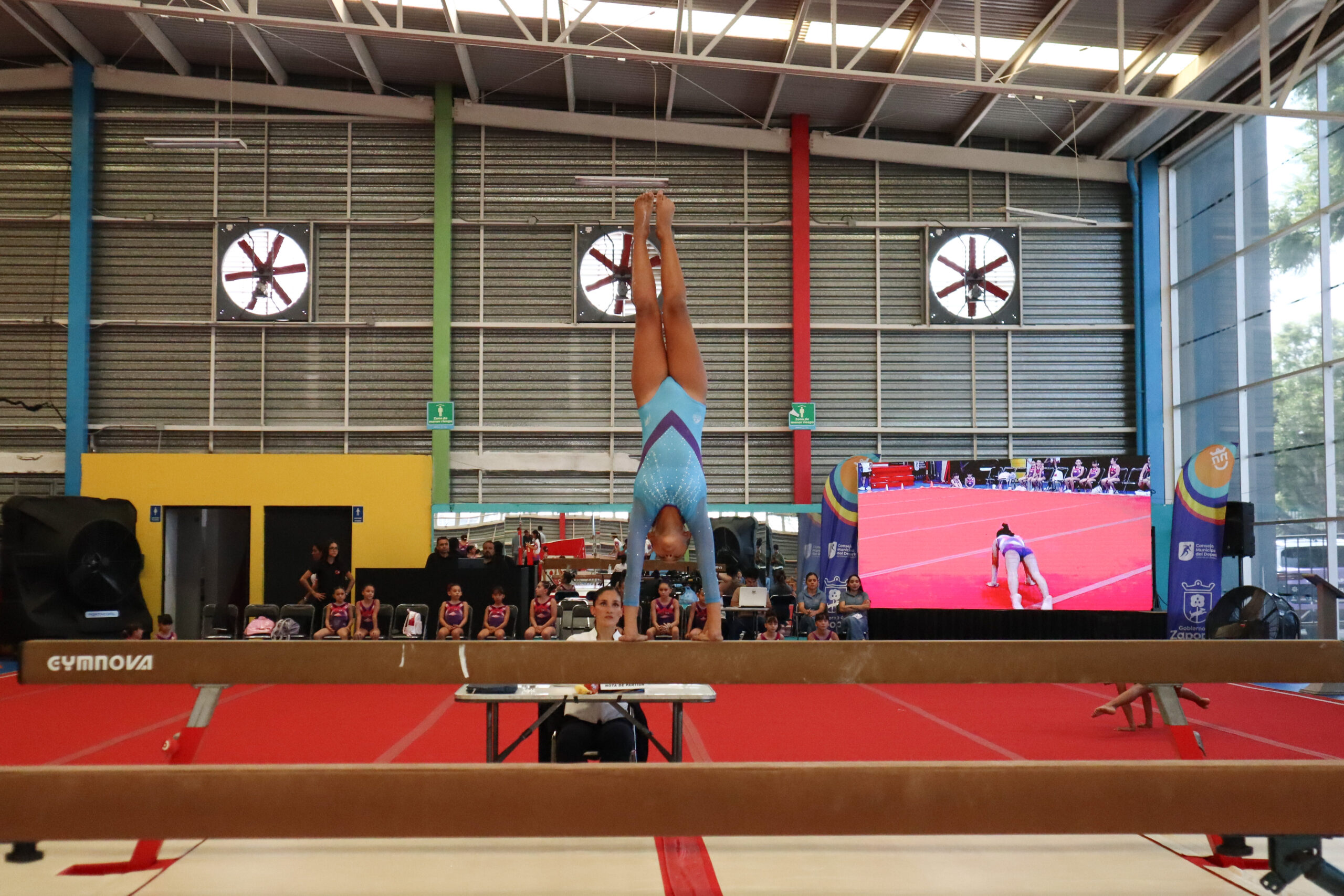 Gimnasia artistica (4)